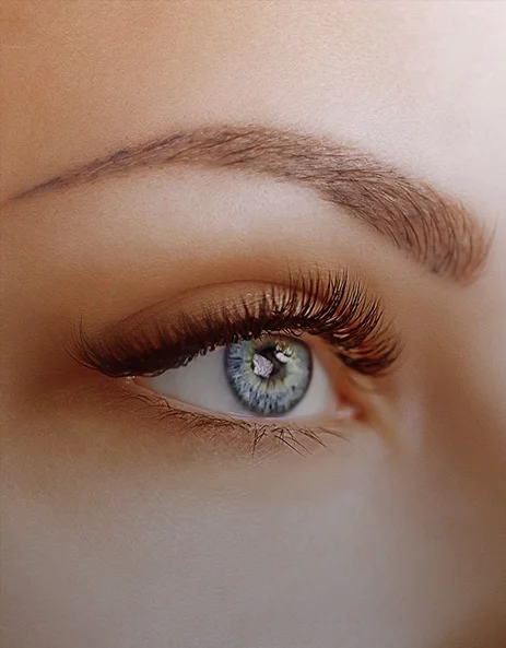 Close up of a woman's eye and eyebrow
